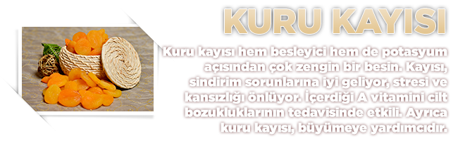 kuru kayısı